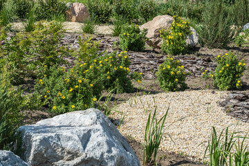 Beautiful landscaped garden with yellow flowers and stones in summer.