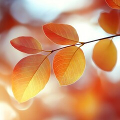 Beautiful Autumn Landscape with Vibrant Fall Foliage, Golden Leaves, and Warm Sunlight Through Trees