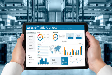 Computer software for website traffic analytics data on computer screen. Concept of SEO search...
