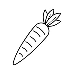 carrot line art vector illustration