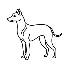 graceful fur lines on dog outline drawing art