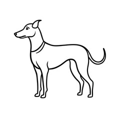 graceful fur lines on dog outline drawing art