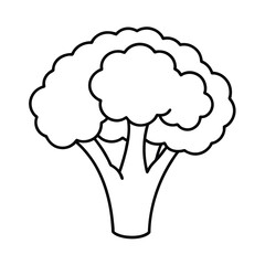 healthy broccoli line art vector