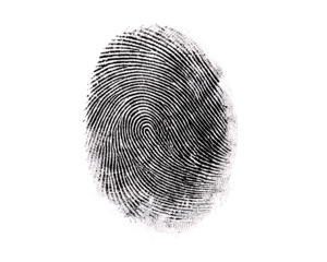  a fingerprint isolated on white background PNG ,ai generated