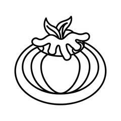 tomato sauce pasta line art vector