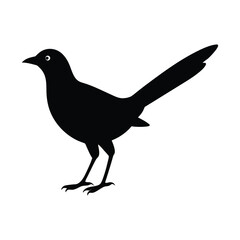 A Maasranga bird silhouette vector illustration