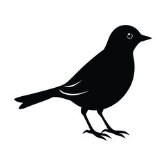 A Maasranga bird silhouette vector illustration