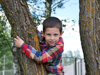 Boy sitting on tree trunk crawling up