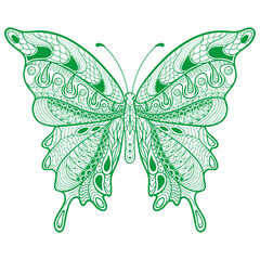 Colorful butterfly vector illustration with decorative wings on white background