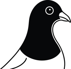 vector illustration of a pigeon