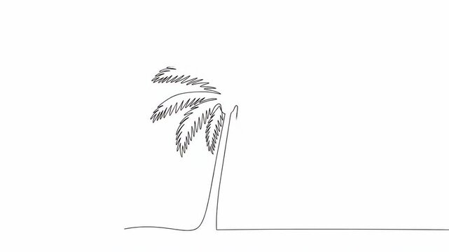 Minimalist palm tree outline on white background representing vacation  