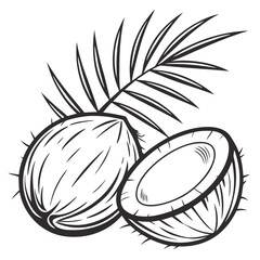 coconut with leaf