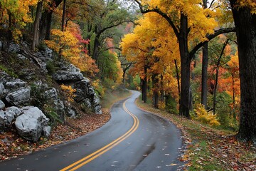 Obraz premium Meandering road in autumn forest with vibrant foliage 