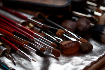 Makeup Brushes in a Professional Case