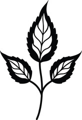 black silhouette of leaf