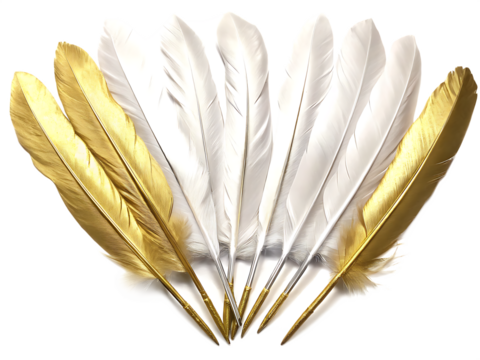 White and gold feathers isolated on a transparent background