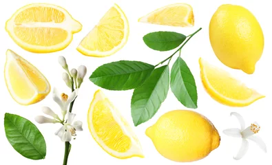 Fototapeten Fresh lemons, green leaves and flowers on white background, collage. Citrus fruit © New Africa