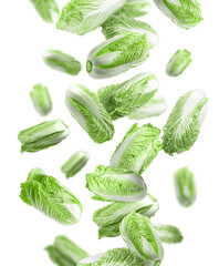 Fresh Chinese cabbages falling on white background