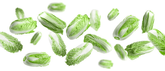 Fresh Chinese cabbages falling on white background