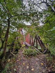 Rusty Abandoned Railway Bridge in Forest