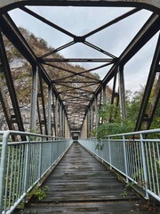 Metal Pedestrian Bridge Through Canyon in Autumn