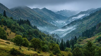 Fototapeta premium Misty fog blankets the lush green valley as mountains rise in the background, creating a tranquil atmosphere at dawn. The scene is peaceful and evokes a sense of nature's beauty.