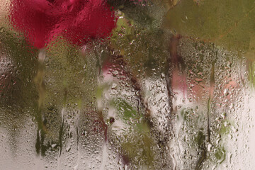 Smoke selected soft focus Leaf, Rose Flower through glass with wet flow water drops. Abstract...
