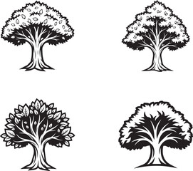vector illustration of ash tree
