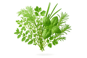 Obraz premium Fresh herbs assortment on transparent background, including basil, rosemary
