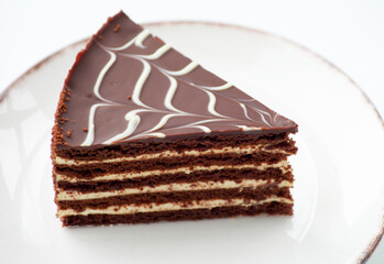 A slice of delicious chocolate cake. Layered chocolate cake .