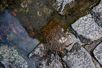 Stone floor, sidewalk of a street wet from the rain. Texture with water. Background for projects.