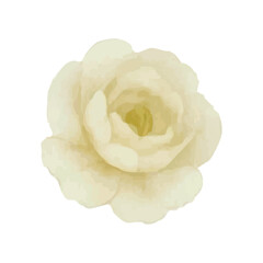 Yellow watercolor flower vector illustration