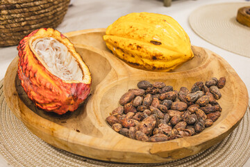 Presentation of dried or fermented cacao beans, a cacao fruit with raw nibs, and a whole cacao...