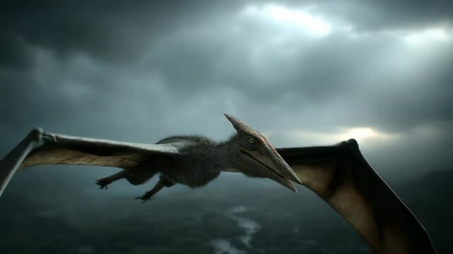 Aerosur flying dinosaur flying over sky prehistoric Jurassic animal extinct