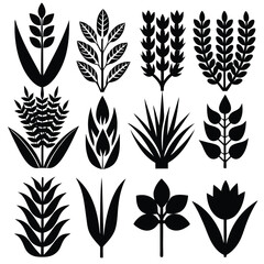 
Nature's Foliage & Botanical Plant Silhouettes