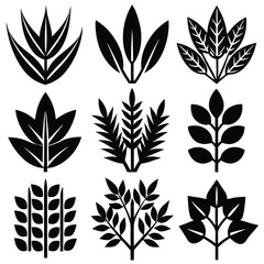 
Nature's Foliage & Botanical Plant Silhouettes