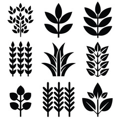 
Nature's Foliage & Botanical Plant Silhouettes