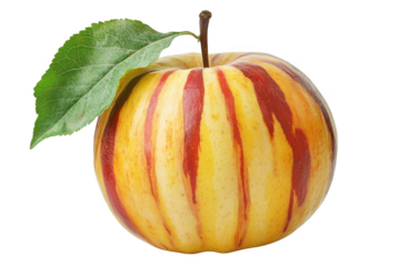 Ripe striped apple with a green leaf isolated on transparent background