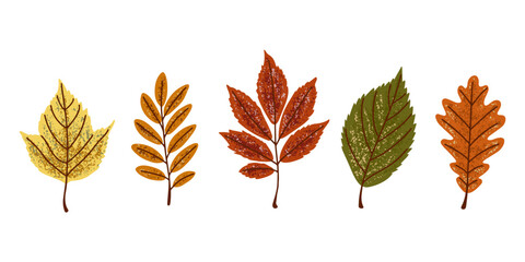 Cute fall season banner. Colorful autunm leaves vector illustration. Hand-drawn elements with textures. Perfect for seasonal posters, greeting cards, patterns, packaging, and digital design. 