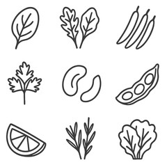 Green Salad Icons. Outline style icons of Green Salads: spinach leaf, mesclun mix, green beans, parsley sprig, celery slice,