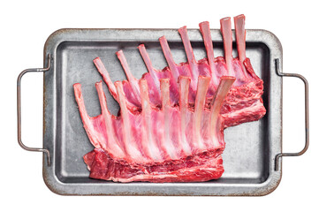 Raw mutton meat for chops steaks, uncooked rack of lamb on steel tray with herbs isolated on white...