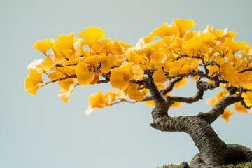 Ginkgo Biloba Tree Reaching for the Sky Against a Clear Blue Background, Upward Perspective