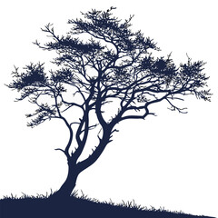 tree silhouette vector of eastern hawthorn