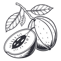 vector illustration of 