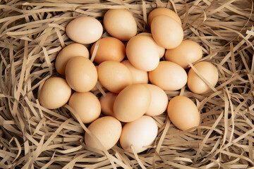 Brown eggs in paper nest – top view