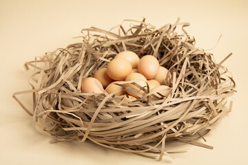 Brown eggs in paper nest – front view