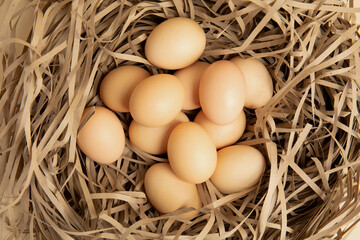 Brown eggs in shredded paper nest – top view