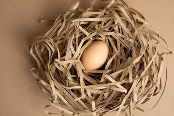Egg in a Nest Made of Shredded Paper – Top View