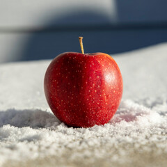 red apple in the snow