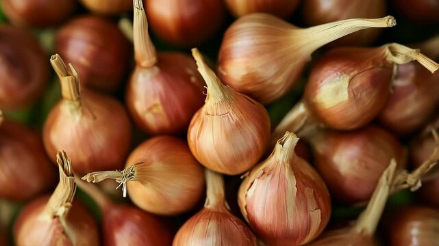 onion and garlic
